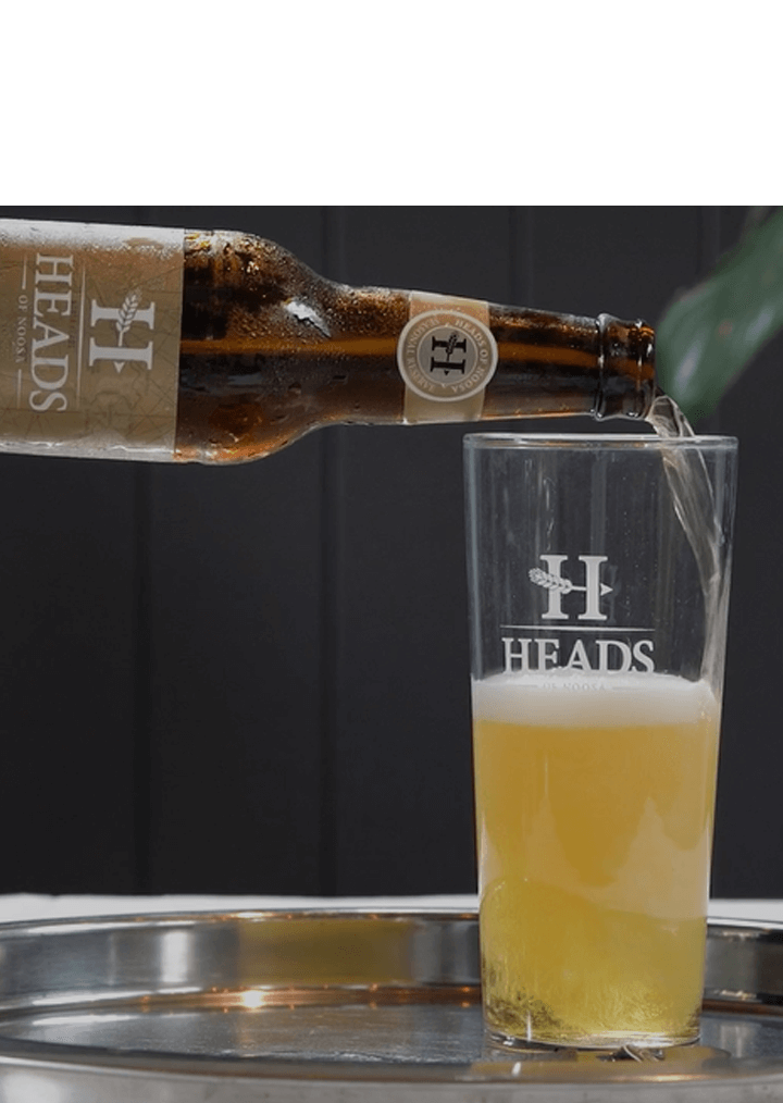 Imperial Japanese Lager | Carton - Heads of Noosa Brewing Co.